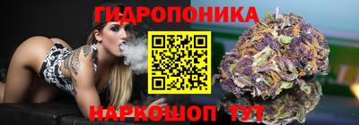 индика Ипатово