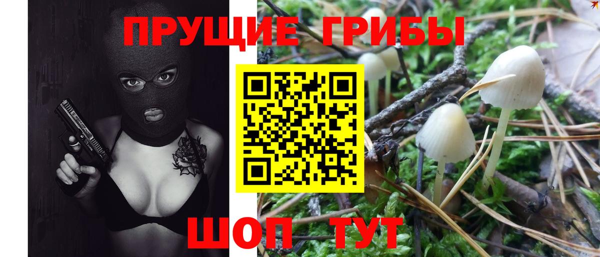 Людиново  Псилоцибиновые грибы GOLDEN TEACHER  Псилоцибиновые грибы ЛСД  Вход с VPN 